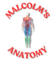 Malcolm's Anatomy (Malcolms Anatomy Foundation) logo